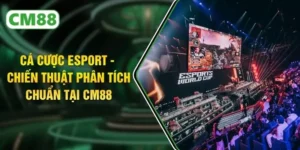 Cá Cược Esport - Chiến Thuật Phân Tích Chuẩn Tại CM88
