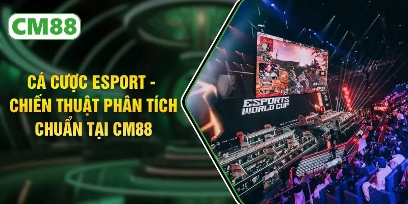 Cá Cược Esport - Chiến Thuật Phân Tích Chuẩn Tại CM88