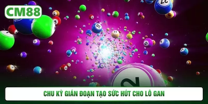 Chu kỳ gián đoạn tạo sức hút cho lô gan