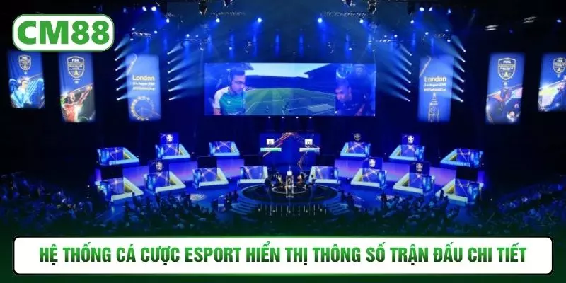 Hệ thống cá cược esport hiển thị thông số trận đấu chi tiết
