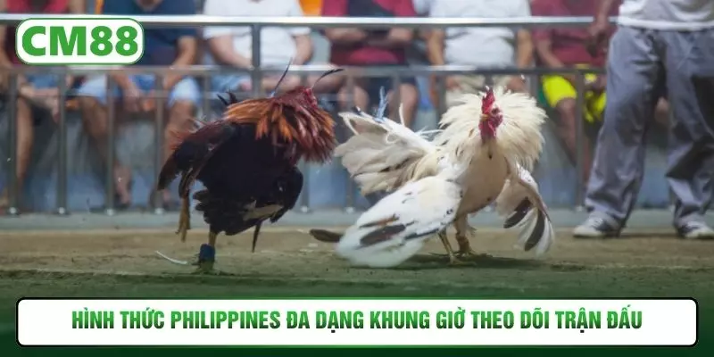 Hình thức Philippines đa dạng khung giờ theo dõi trận đấu