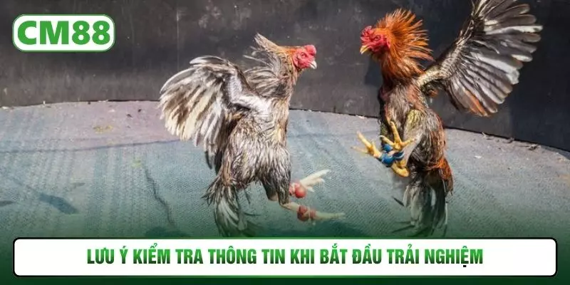 Lưu ý kiểm tra thông tin khi bắt đầu trải nghiệm