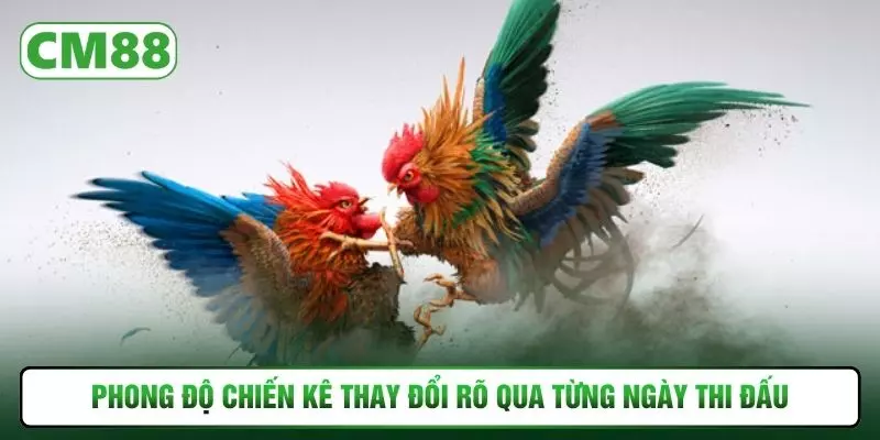 Phong độ chiến kê thay đổi rõ qua từng ngày thi đấu